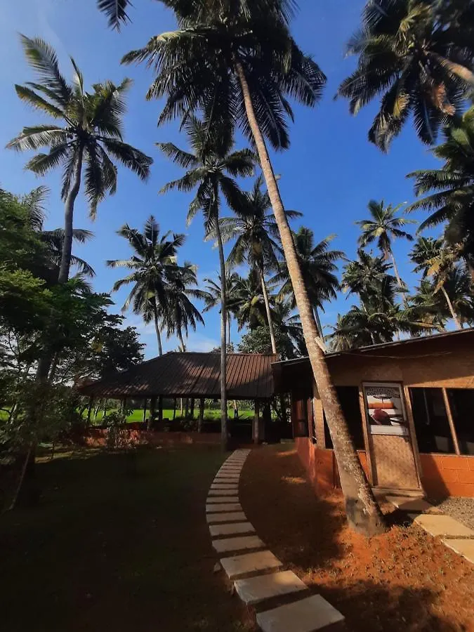 Doctors Ayurveda Heritage Varkala India